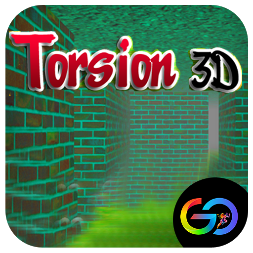  Torsion 3d